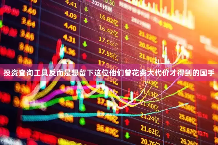 投资查询工具反而是想留下这位他们曾花费大代价才得到的国手
